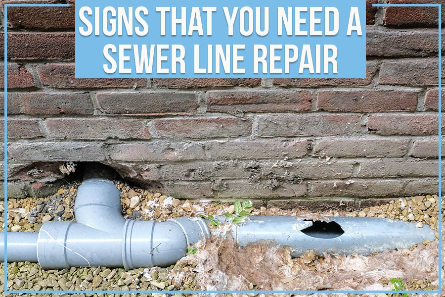 Signs That You Need A Sewer Line Repair